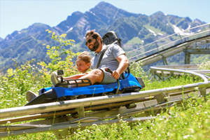 Luge d'été