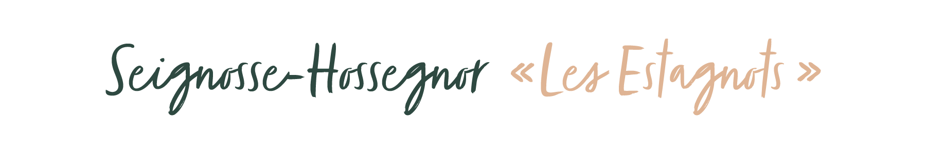 Seignosse-Hossegor