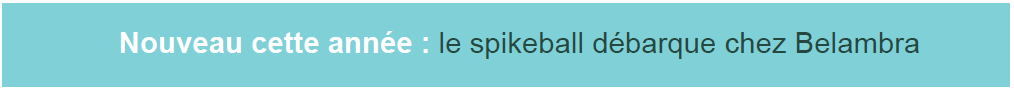 Spikeball