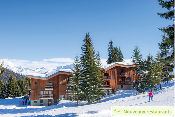 Les_saisies